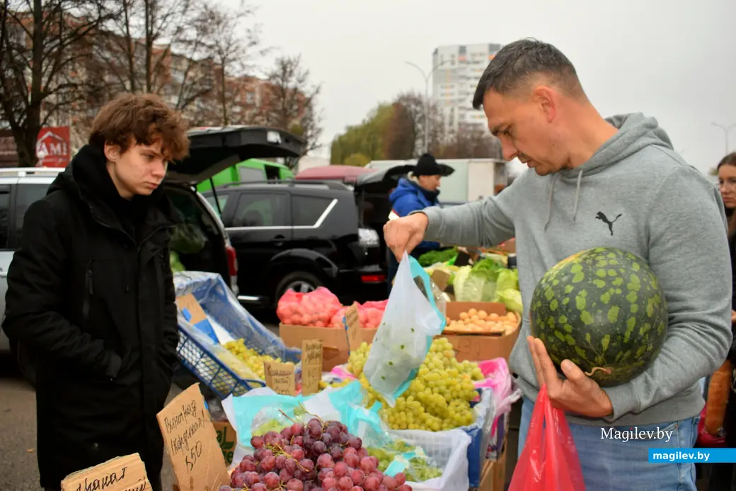 Бобруйск, 8 ноября 2025 года. Улица Горького. Сельскохозяйственная ярмарка «Золотая осень».