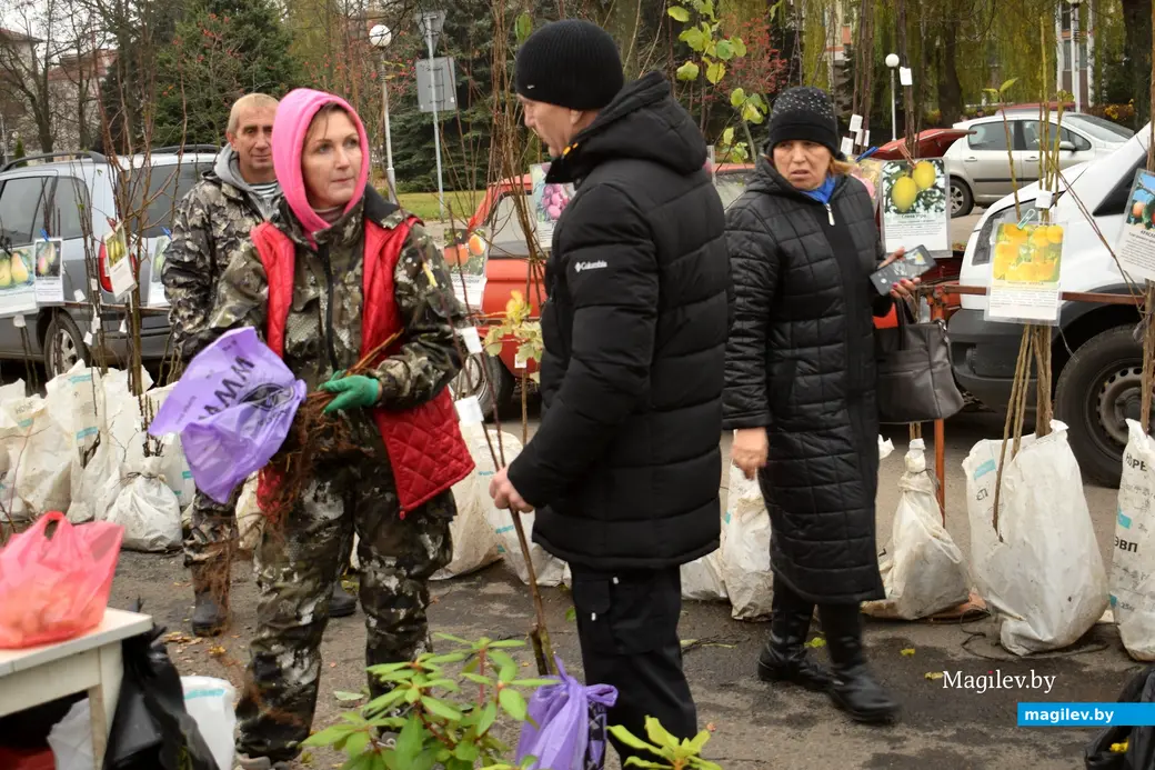 Бобруйск, 8 ноября 2025 года. Улица Горького. Сельскохозяйственная ярмарка «Золотая осень».