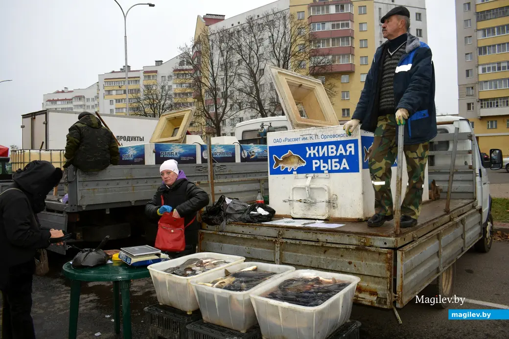 Бобруйск, 8 ноября 2025 года. Улица Горького. Сельскохозяйственная ярмарка «Золотая осень».