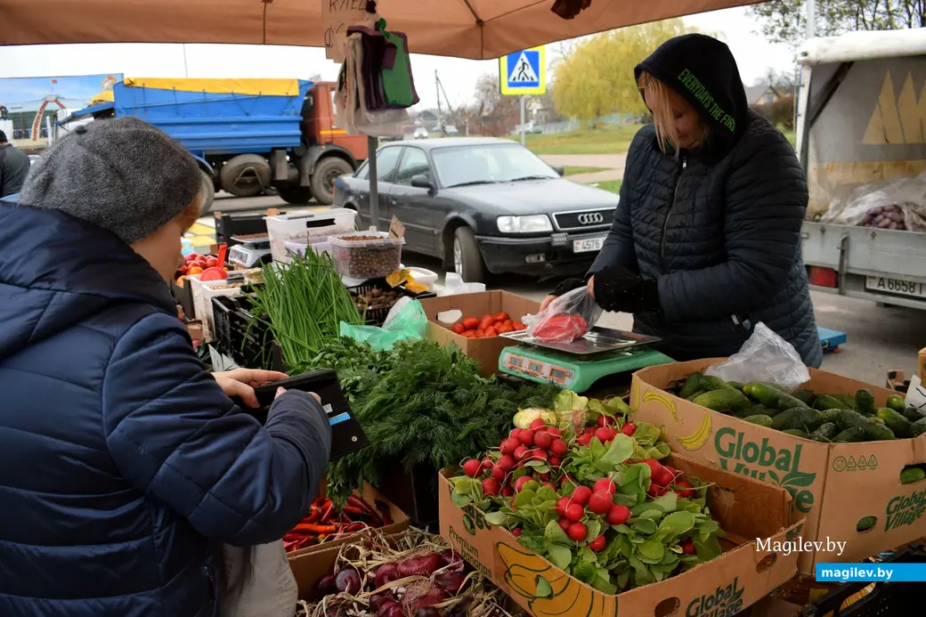 Бобруйск, 8 ноября 2025 года. Улица Горького. Сельскохозяйственная ярмарка «Золотая осень».