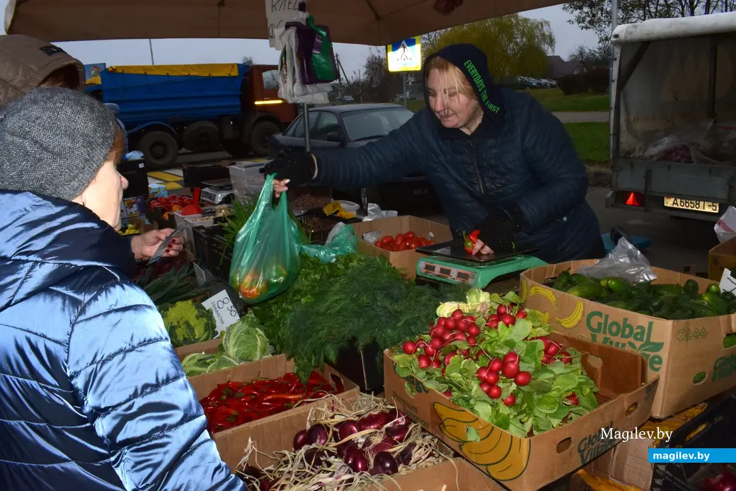 Бобруйск, 8 ноября 2025 года. Улица Горького. Сельскохозяйственная ярмарка «Золотая осень».