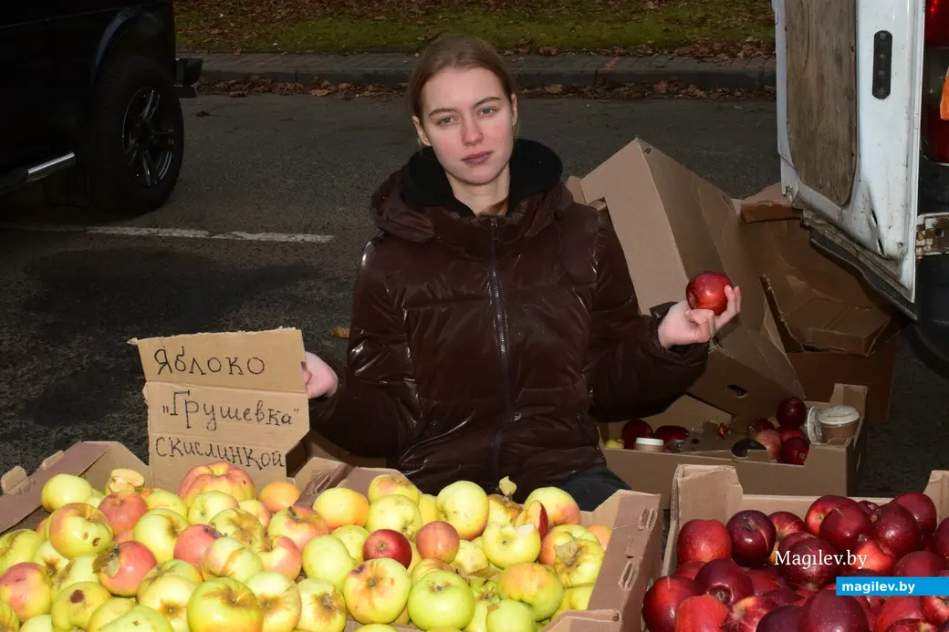 Бобруйск, 8 ноября 2025 года. Улица Горького. Сельскохозяйственная ярмарка «Золотая осень».