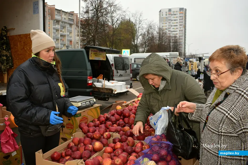 Бобруйск, 8 ноября 2025 года. Улица Горького. Сельскохозяйственная ярмарка «Золотая осень».