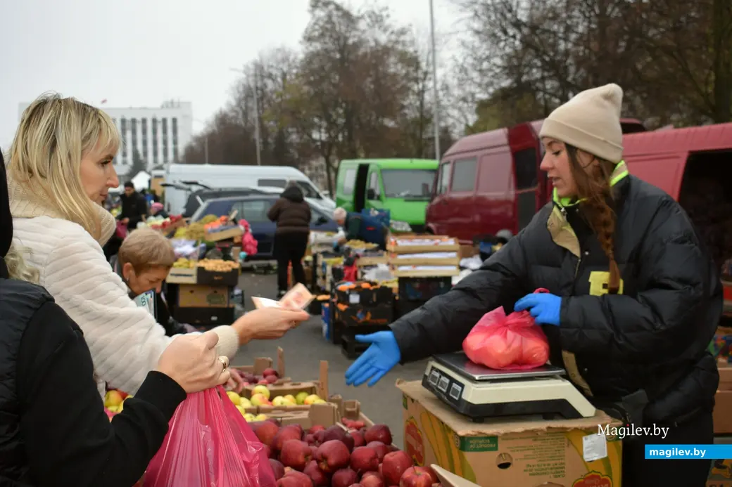 Бобруйск, 8 ноября 2025 года. Улица Горького. Сельскохозяйственная ярмарка «Золотая осень».
