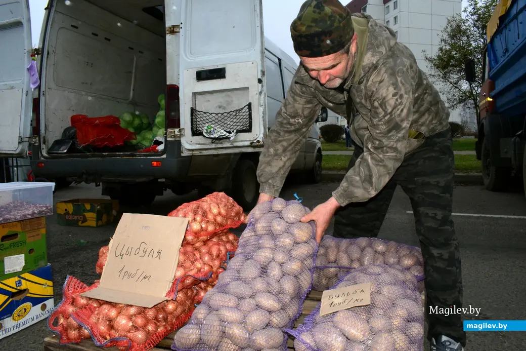 Бобруйск, 8 ноября 2025 года. Улица Горького. Сельскохозяйственная ярмарка «Золотая осень».