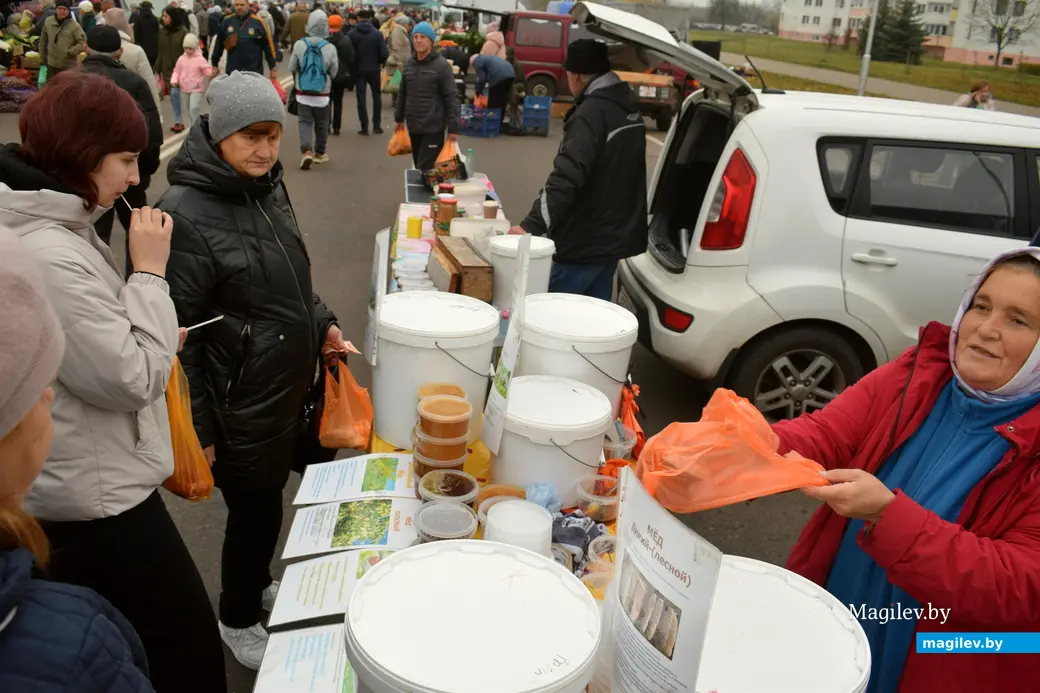 Бобруйск, 8 ноября 2025 года. Улица Горького. Сельскохозяйственная ярмарка «Золотая осень».