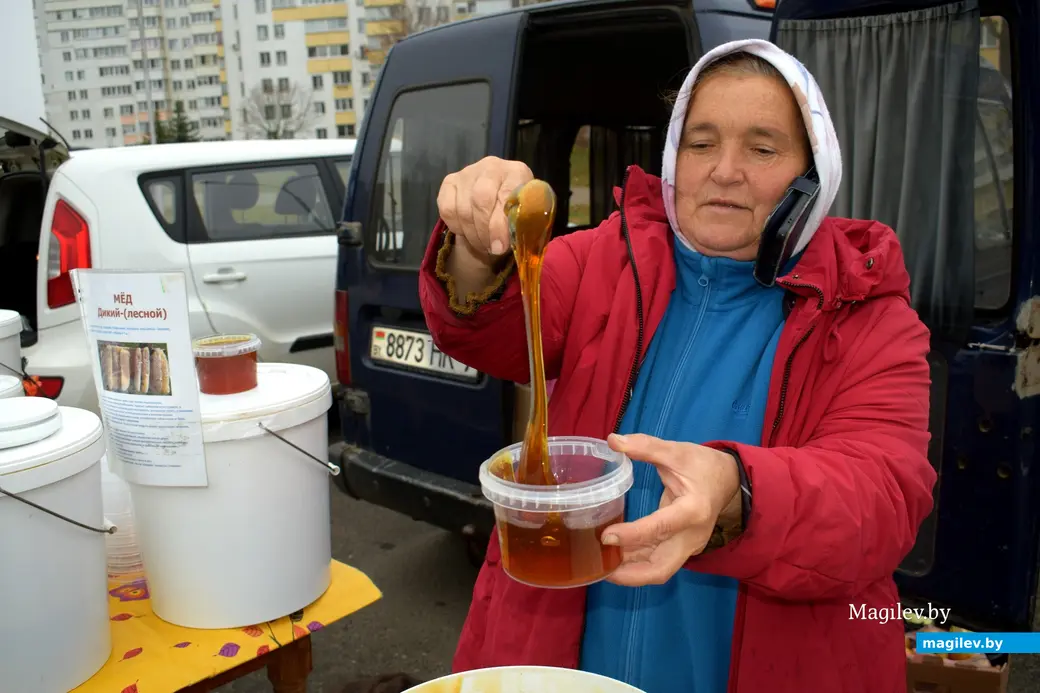 Бобруйск, 8 ноября 2025 года. Улица Горького. Сельскохозяйственная ярмарка «Золотая осень».