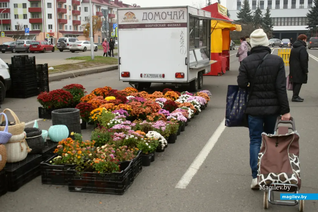 Бобруйск, 8 ноября 2025 года. Улица Горького. Сельскохозяйственная ярмарка «Золотая осень».