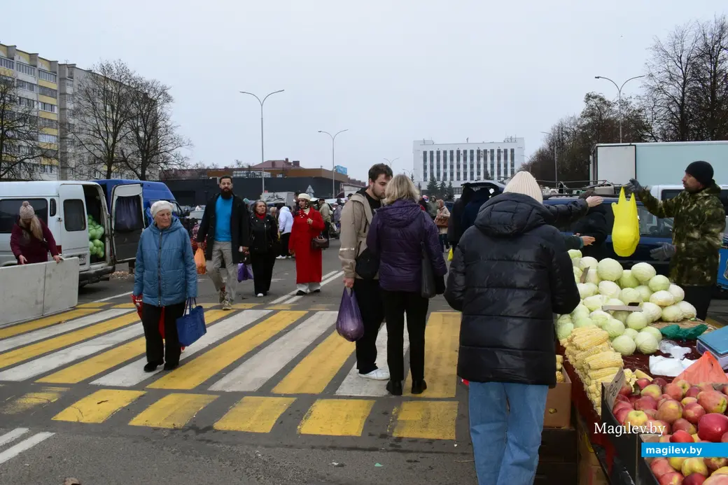 Бобруйск, 8 ноября 2025 года. Улица Горького. Сельскохозяйственная ярмарка «Золотая осень».