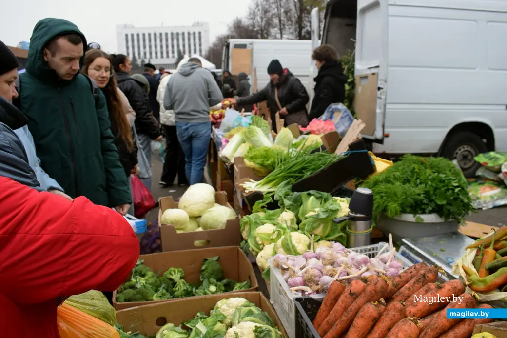 Бобруйск, 8 ноября 2025 года. Улица Горького. Сельскохозяйственная ярмарка «Золотая осень».