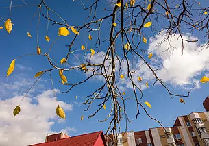 Северные ветра несут похолодание. Прогноз погоды в Беларуси на неделю с 10 по 16 ноября