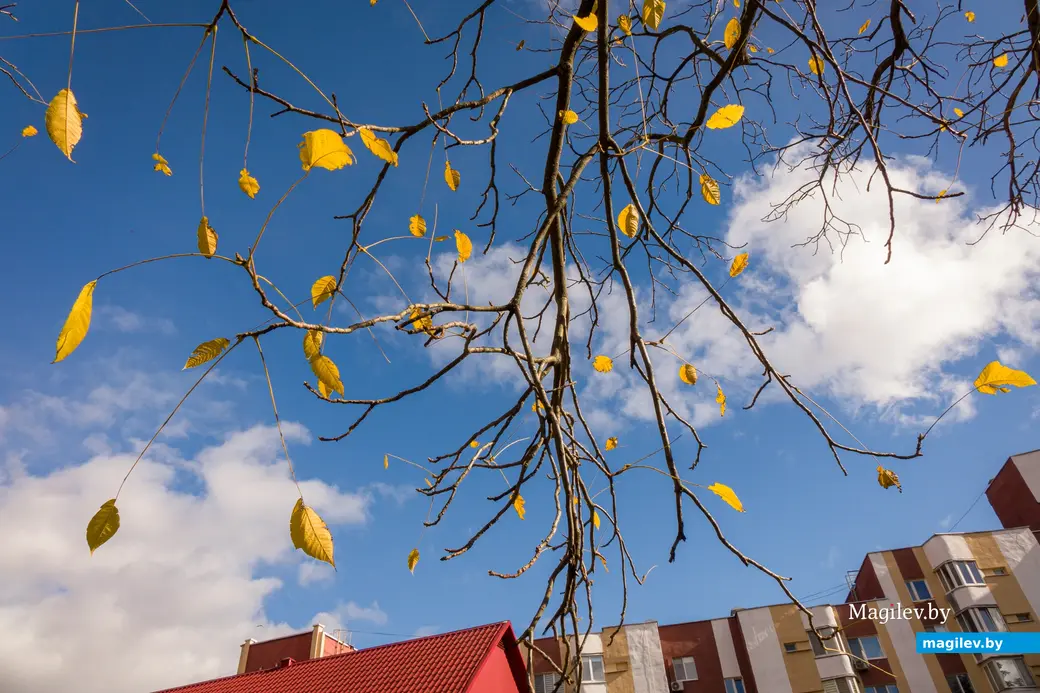 Осень. Фото: Александр Чугуев..