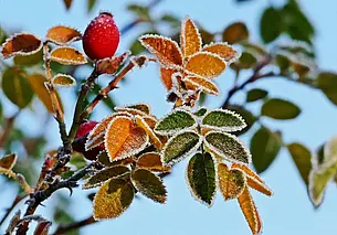 Туман, временами дожди: какой будет погода в Могилеве в понедельник, 10 ноября