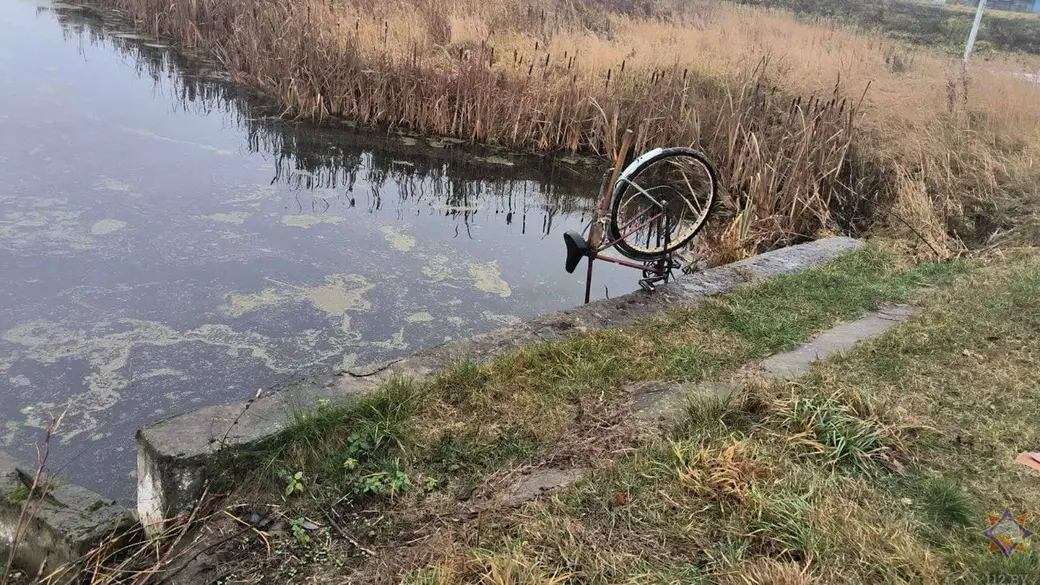 10.11.2025 г. Кировский район. Фото: Могилевское областное УМЧС