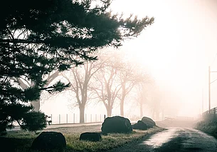Утром туман, днем до 7 градусов с плюсом: какой будет погода в Могилеве во вторник, 11 ноября