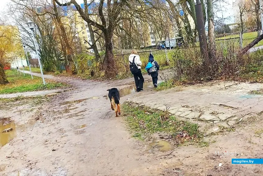 12.11.2025, Могилев, микрорайон Казимировка.