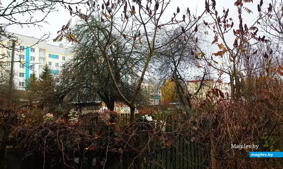 12.11.2025, Могилев, микрорайон Казимировка.