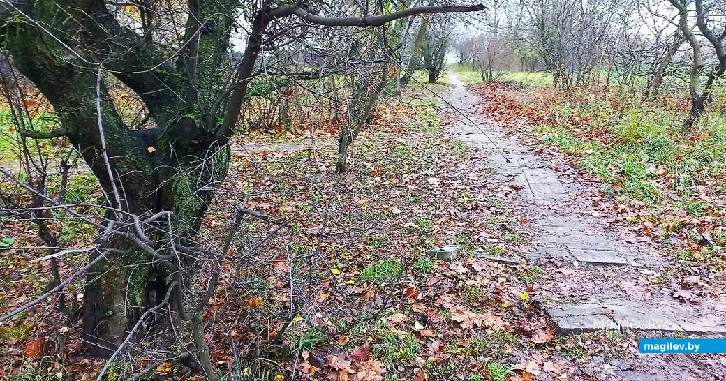 12.11.2025, Могилев, микрорайон Казимировка.