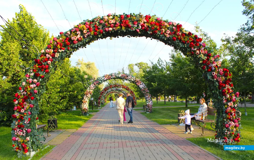 2025 год. Могилев. Парк Подниколье.