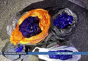 Правоохранители Могилевщины перекрыли крупный канал поставки наркотиков