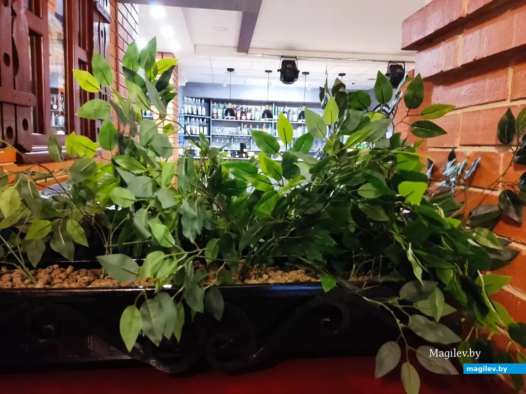 13.11.2025 г. Могилев, ресторан «Гурманофф». 10-й республиканский фестиваль «Гастрофест»