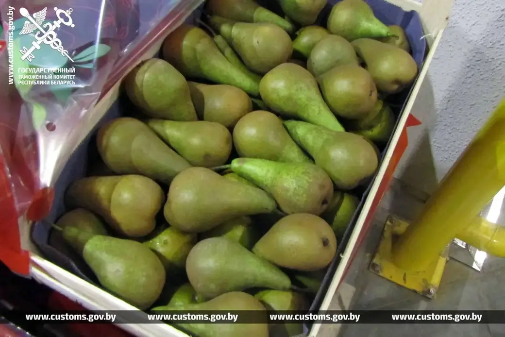 Фото: ГТК РБ