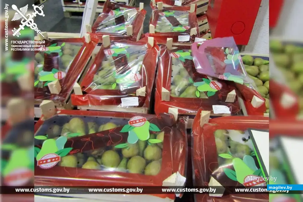 Фото: ГТК РБ