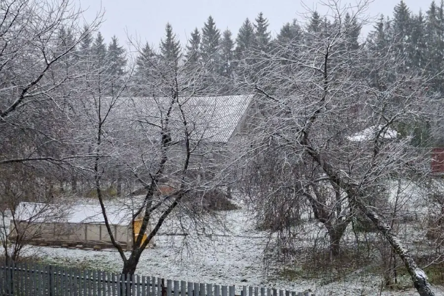 15 ноября 2025 года. Первый снег. Фото: соцсети / Tochka.by.