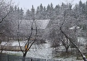 В трех областях Беларуси выпал первый снег