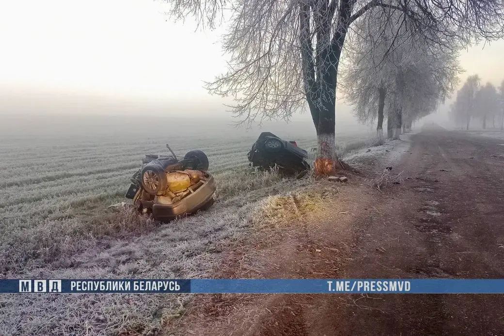 16 ноября 2025 года. ДТП в агрогородке Неглюбка Ветковского района Гомельской области.
