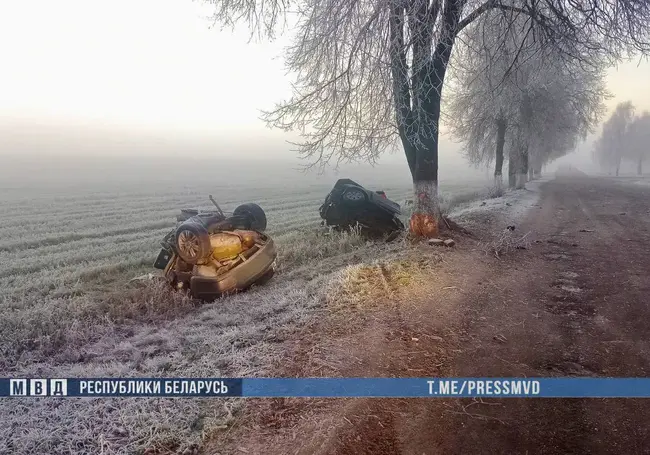 Автомобиль разорвало на две части: в Ветковском районе двое 18-летних погибли в ДТП
