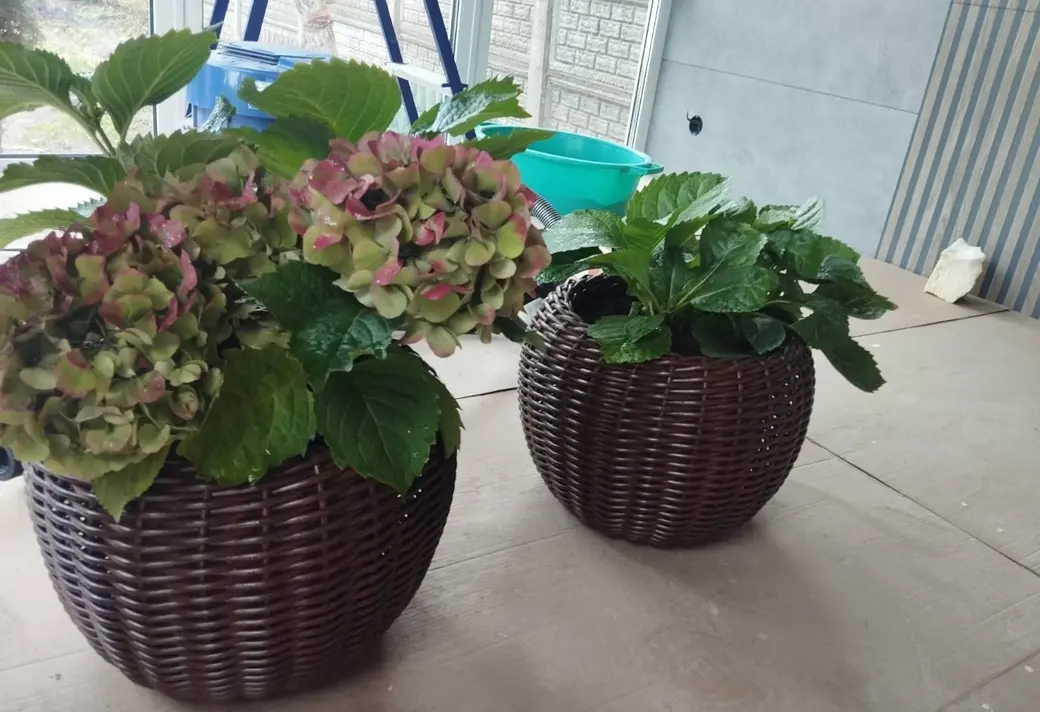 Бобруйск. Изделия из искусственного ротанга Марии Владимировны Березовской.