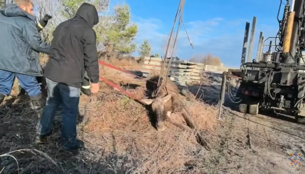  19.11.2025 г. Могилевский район. Фото: Могилевское областное УМЧС