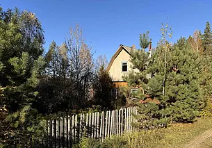 Сколько стоят дачи под Могилевом? Собрали варианты на конец ноября