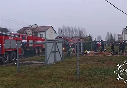На пожаре в Горецком районе сосед спас двоих маленьких детей (видео)