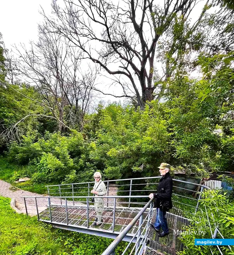 2025 год, Могилев, спуск к месту нашей тусовки 50-летней давности.