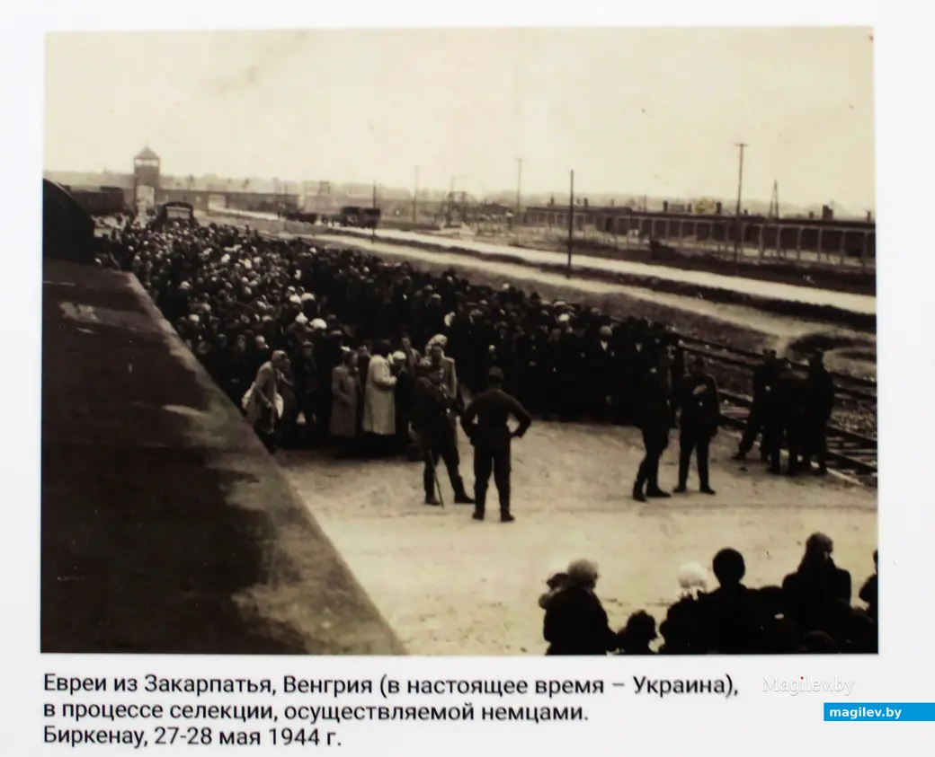 25 ноября 2025 года. Могилев. Еврейский просветительский центр. Открытие выставки «Как человек мог сотворить такое?».