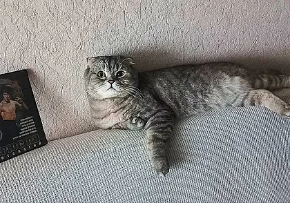 Брюс Ли в Могилеве: никогда не был, но всегда был