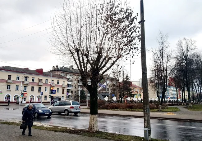 Дождь, туман: какой будет погода в Могилеве в субботу, 29 ноября