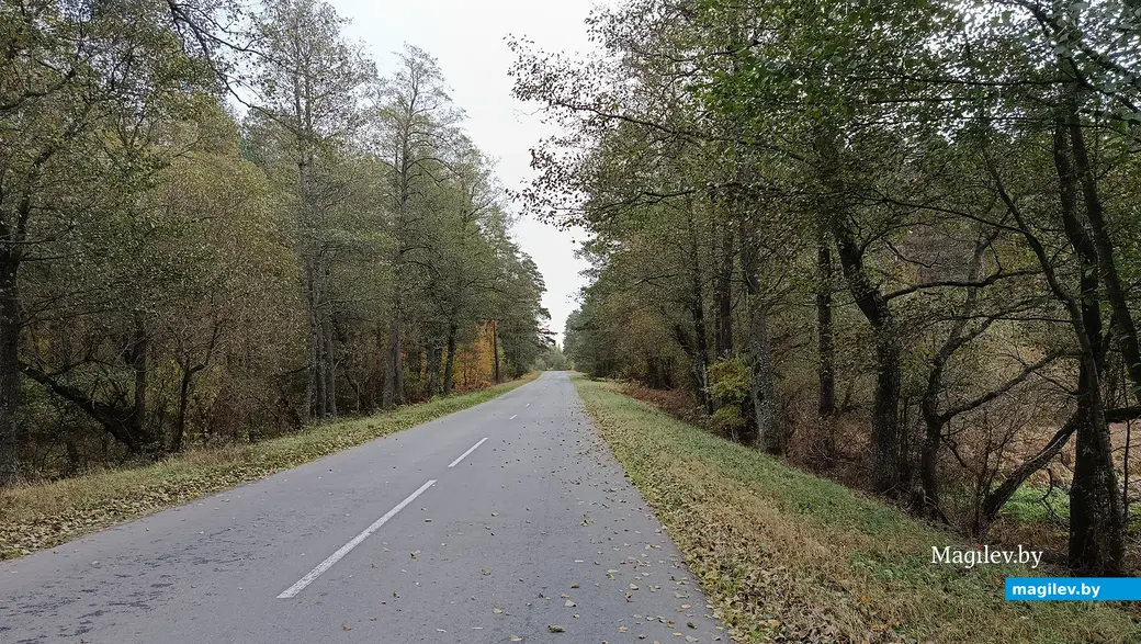 2025 г. Дарога да Усцярхоў ад бабруйскай трасы.