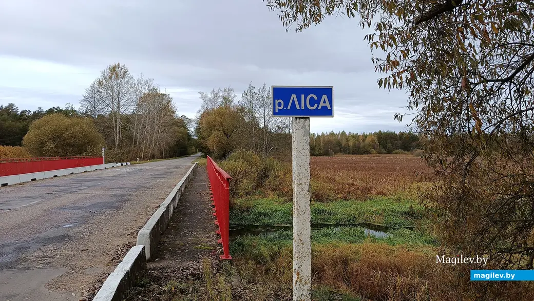 2025 г. Мост праз раку Ліса каля вёскі Засценак Усцярхі.