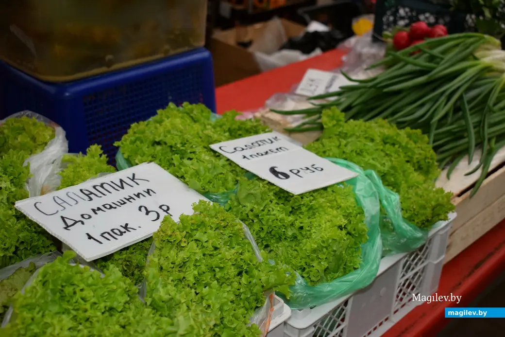 28.11.2025, Бобруйский центральный рынок.