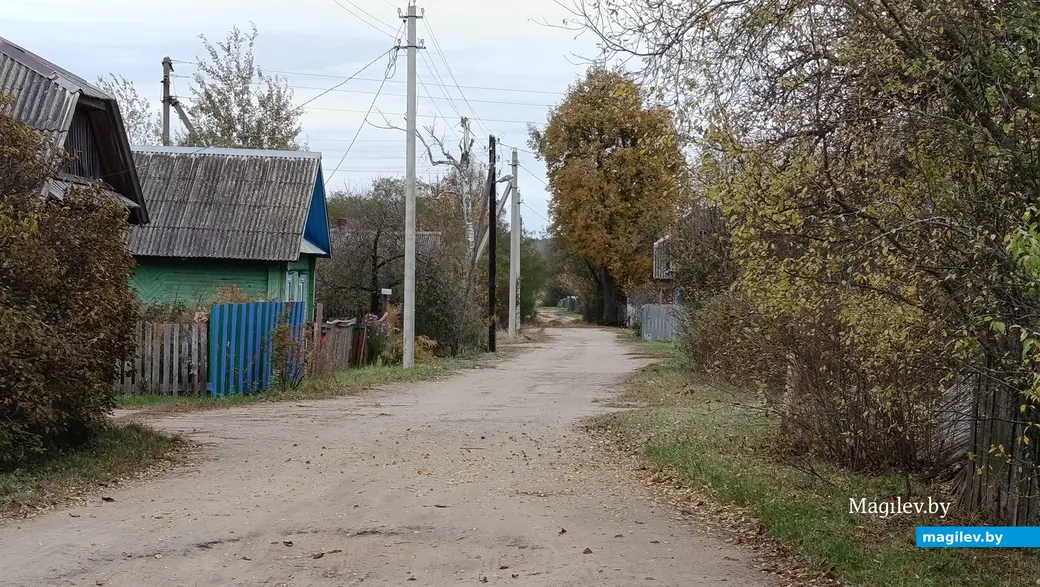 2025 г. Вёска Усцярхі Глускі раён. Адзіная вясковая вуліца - Лясная.