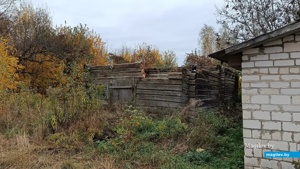 2025 г. Дом, дзе нарадзіўся сямён Вілюга, паціху разбіраюць на дровы.