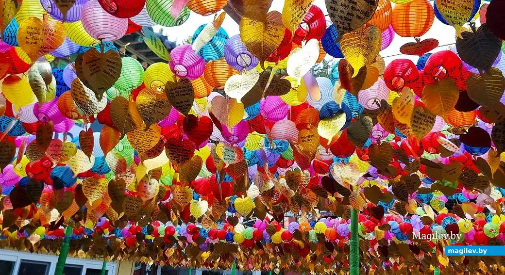 Ноябрь 2025 года, круиз вокруг Японии.