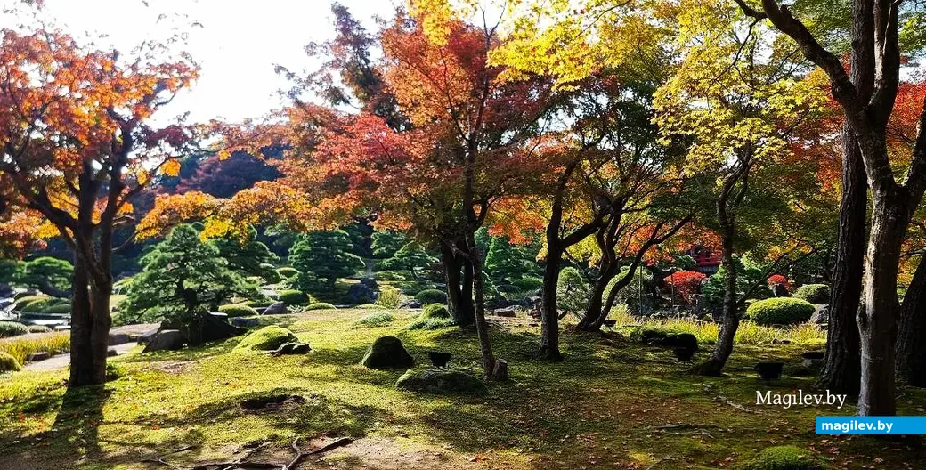 Ноябрь 2025 года, круиз вокруг Японии.