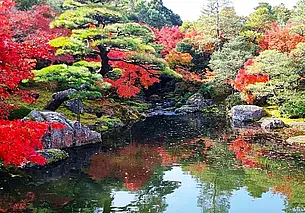 Осенняя Япония глазами наших бывших земляков: «Это страна красных кленов»