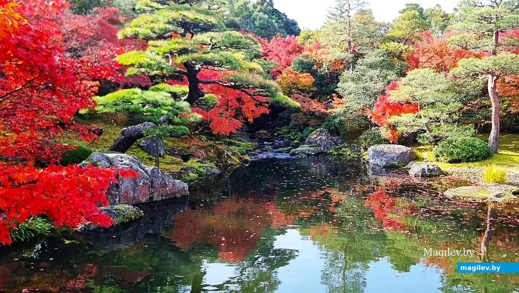 Ноябрь 2025 года, круиз вокруг Японии.