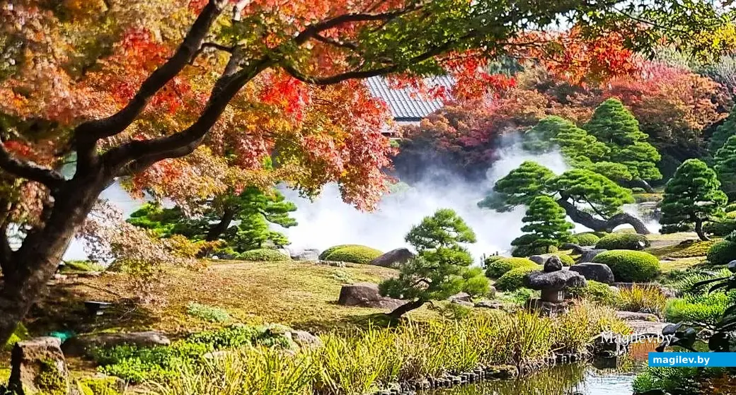 Ноябрь 2025 года, круиз вокруг Японии.