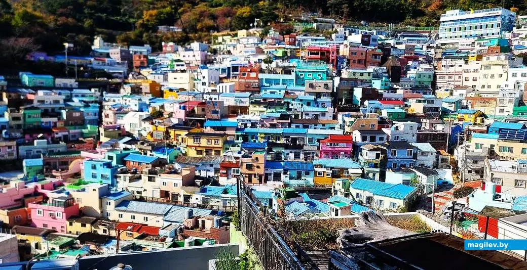 Ноябрь 2025 года, круиз вокруг Японии.